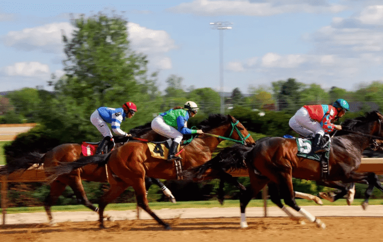 How Horse Racing Odds Work: A Simple Guide