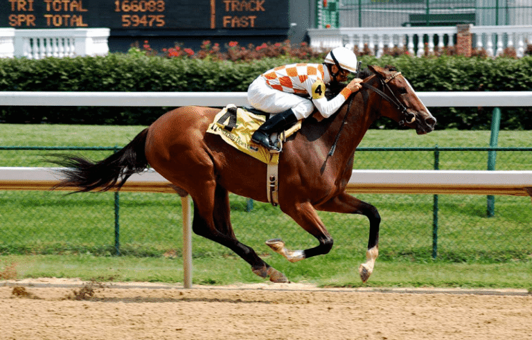 The Fastest Horses in the World: Racing Legends